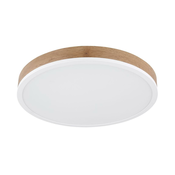 Globo STROPNA LED-SVETILKA