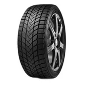 Delinte WD6 ( 205/50 R17 93H)