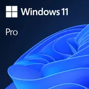 Microsoft DSP Windows 11 Pro Eng 64-bit, FQC-10528