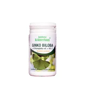 Ginkgo biloba – naravna podpora koncentraciji in spominu