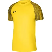 Jersey Nike Dri-FIT Academy