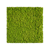 Mahovina ploca Natur, 30 x 30