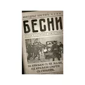 Besni - Roman o kraljevom zaštitniku