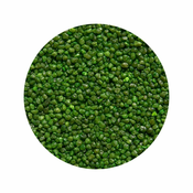 AQUA Kvarcni šljunak za akvarijum, 2 kg, 2-3 mm, Zelena jabuka