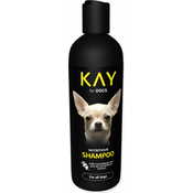 KAY hranilni šampon 250 ml