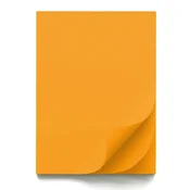 Papir šeleshamer b1 70x100 intenziv er