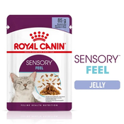 Royal Canin Sensory Feel - mokra hrana za odrasle macke u želeu 12 x 85 g