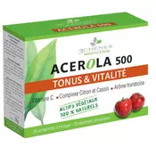 3 CHENES LABORATORIES vitamini in minerali Acerola 500 mg, 24 tablet