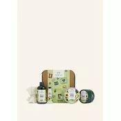 Rich & Creamy Avocado Big Gift