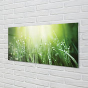 tulup.si Slika na akrilnem steklu Grass sonce kapljice 125x50 cm 2 obešalnika