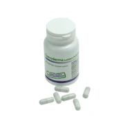Ganoderma lucidum plus kapsule 60x450g za imunitet
