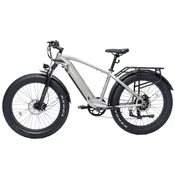 BODYWEL Potovalno električno kolo Bodywel D6, debele pnevmatike, 48V 13,5Ah, sivo, (5000233873)