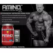 BSN Amino X 435 g fruit punch