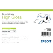 Epson visoko sijajne etikete, predrezane etikete, 102 x 76 mm (1570 etiket)