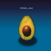 Pearl Jam - Pearl Jam (2 Vinyl)
