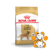Royal Canin BHN Golden Retriever Adult, 12kg, Hrana Za Pse Od 15 Meseci Starosti