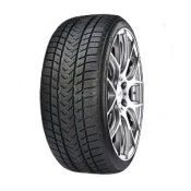 GRIPMAX Status Pro Winter ( 275/35 R20 102V)