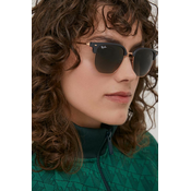 Sončna očala Ray-Ban 0RB4416 siva barva