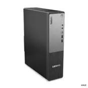Računalo LENOVO ThinkCentre neo 55s G6 13G0001PCR / Ryzen 7 250, 16GB DDR5, 1TB SSD, AMD Graphics, miš i tipkovnica, FreeDOS, crno