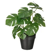 FEJKA Umetna lončnica, notranji/zunanji monstera, 12 cm