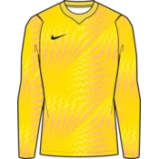 Nike Dres z dolgimi rokavi Dri-FIT Gardien VI Goalkeeper Long Sleeve Kids