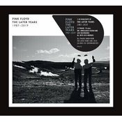 Pink Floyd The Best Of The Later Years 1987 - 2019 (CD)