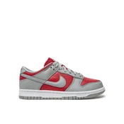 Superge Nike Dunk Low Qs FQ6965 600 Siva