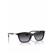 Emporio Armani Sončna očala 0EA4238 54 50178G Črna