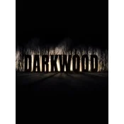 Darkwood Steam Key GLOBAL