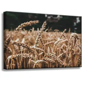 shumee Platno Narava Pšenično polje 60x40 cm Klasje žetve