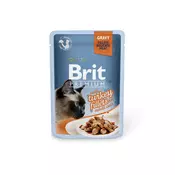 Brit Premium | Adult Fileji purana v omaki
