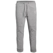 Jack & Jones Junior Hlače JJGordon JJShark pegasto siva