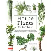 House Plants for Every Space