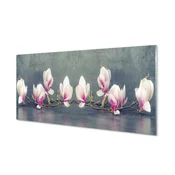 tulup.si Stenska plošča za kuhinjo Magnolija podružnica 120x60 cm