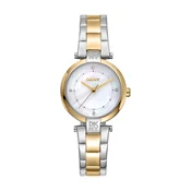 DKNY Analogna ura zlata