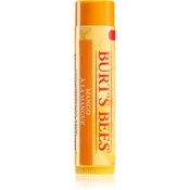 Burt´s Bees Lip Care hranilni balzam za ustnice (with Mango Butter) 4 25 g
