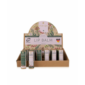 ACCENTRA BALZAM ZA USTNICE 10g WINTER SPA VANILIJA