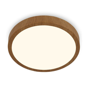 Brilo - LED plafonsko svetlo RUNA LED/24W/230V
