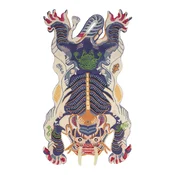 Volnena preproga Bongusta Dragon 110 x 200 cm