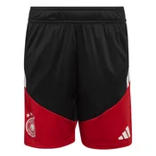 ADIDAS PERFORMANCE Športne hlače Deutschland 26 Tiro rdeča/črna/bela