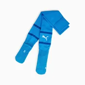 Nogavice Puma teamFINAL Socks