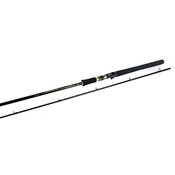 FORTIS CAST 2.58m 40-80g