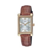 Casio Collection