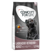 Concept for Life suha pasja hrana 4 x 1 kg/1,5 kg po posebni ceni! - Labrador Retriever Adult 6kg (4 x 1,5 kg)
