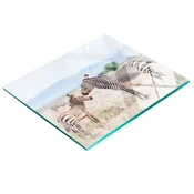 shumee Dekorativna steklena kuhinjska deska za rezanje in serviranje Zebra Mountain 60x52 cm