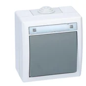 1-polno stikalo, dvosmerno, nadometno, IP55, sivo, AQUANT
