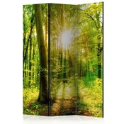 artgeist Paravan Forest Rays, Akustičen, 3-Delni