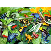 Alipson Puzzle - Puzzle Zabavne žabe - 500 kosov