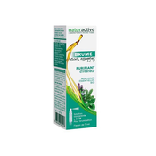 Naturactive Mist with Essences - Interior Purifying 15 ml