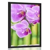 Plakat Zen vrt - 40x60 black